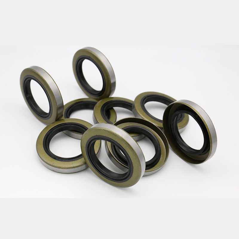 TB iron shell oil seal