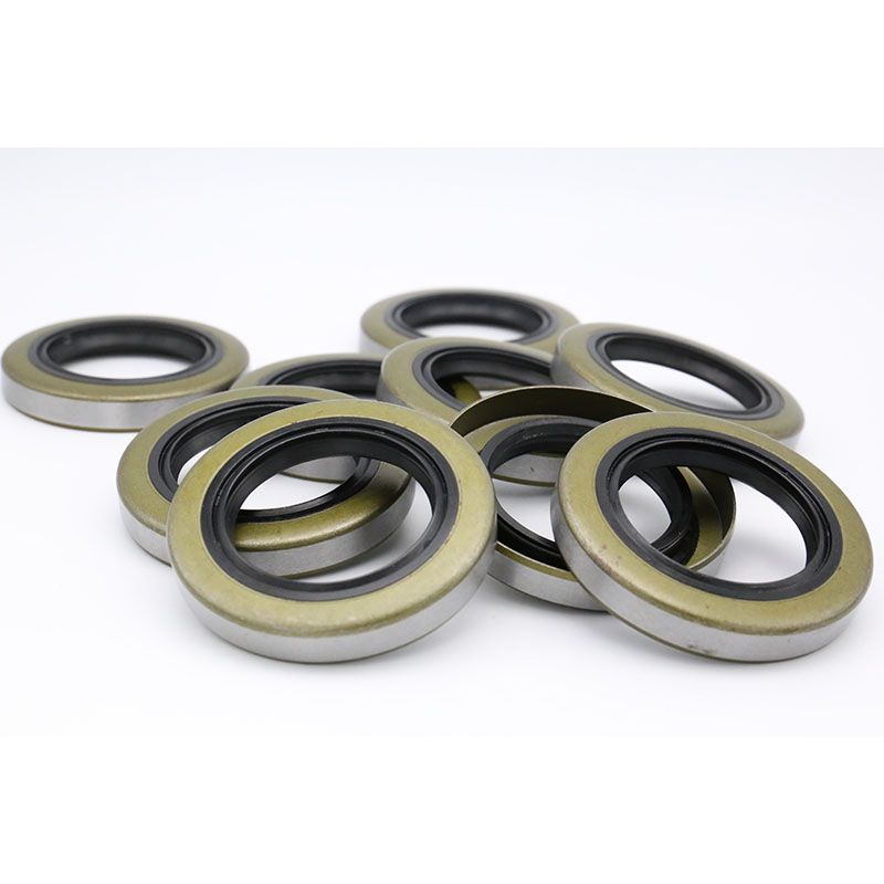 TB iron shell oil seal