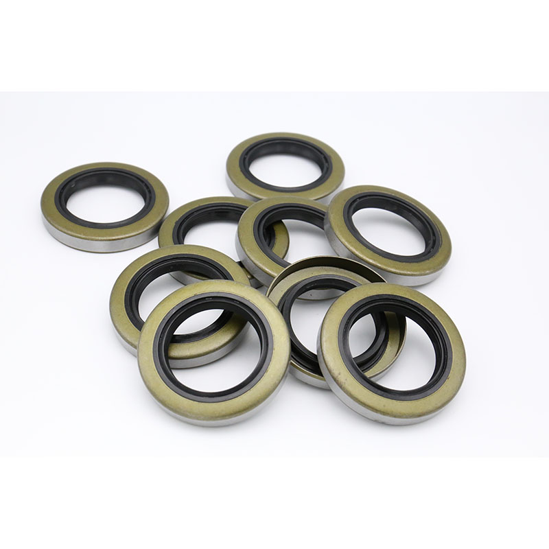 TB iron shell oil seal