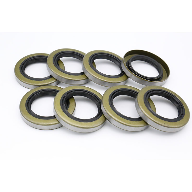 TB iron shell oil seal