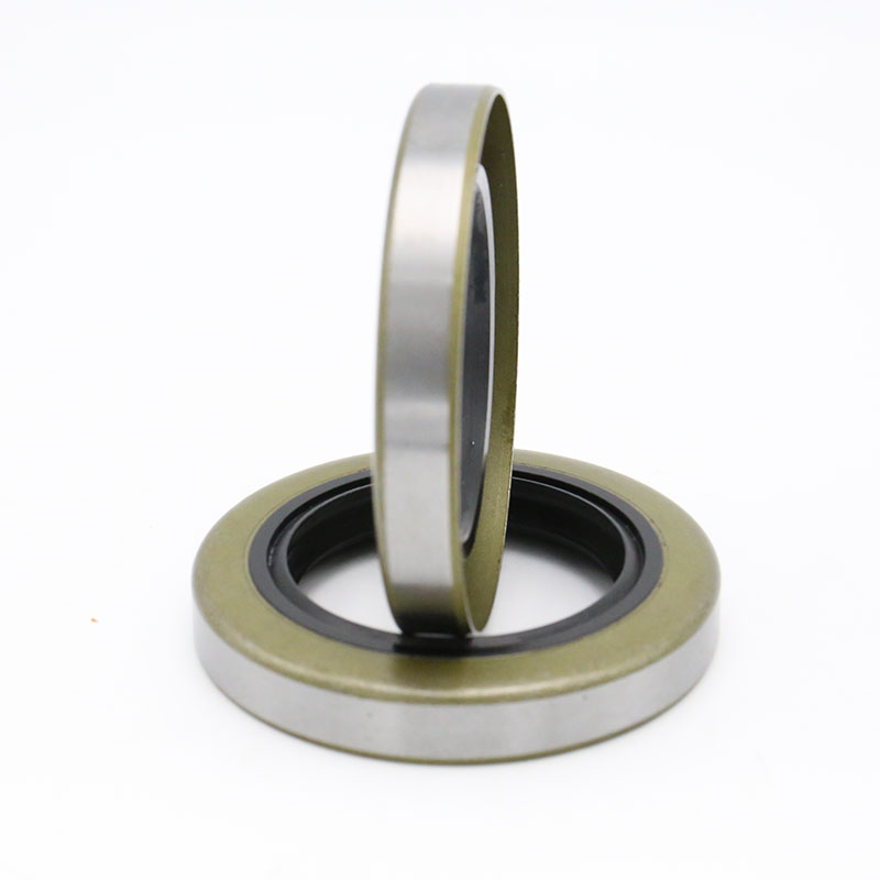 TB iron shell oil seal