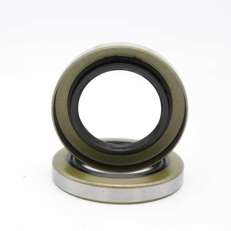 TB iron shell oil seal