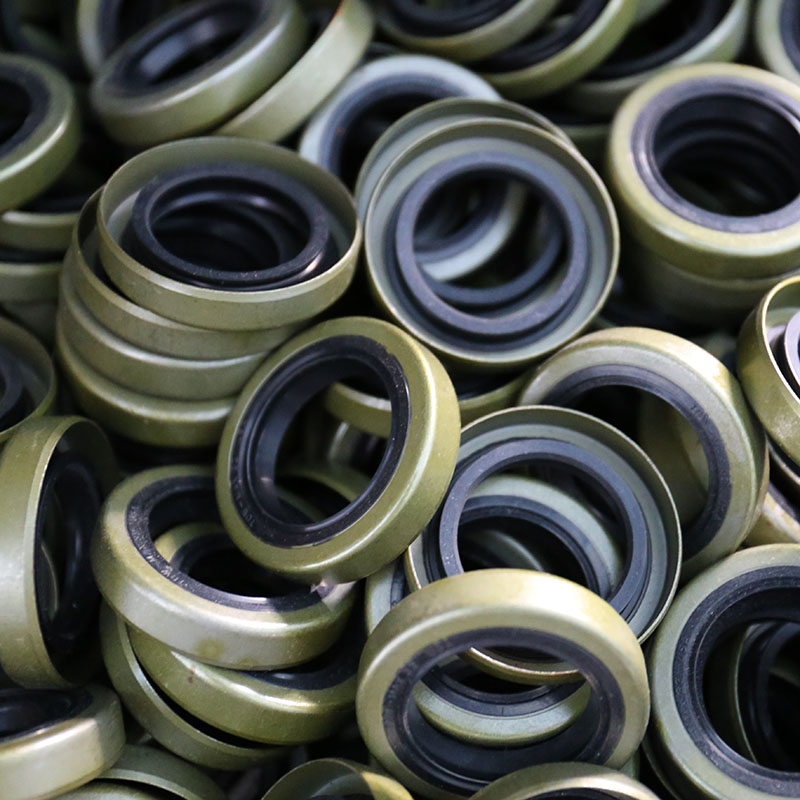 TB iron shell oil seal