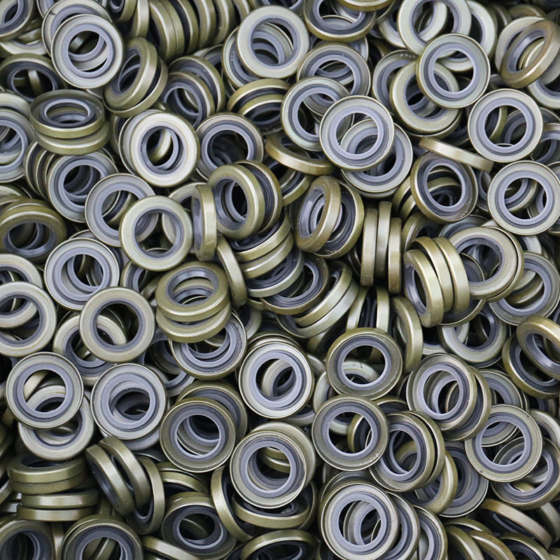 TB iron shell oil seal