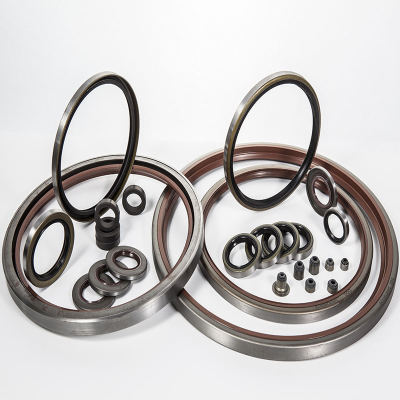 TB iron shell oil seal