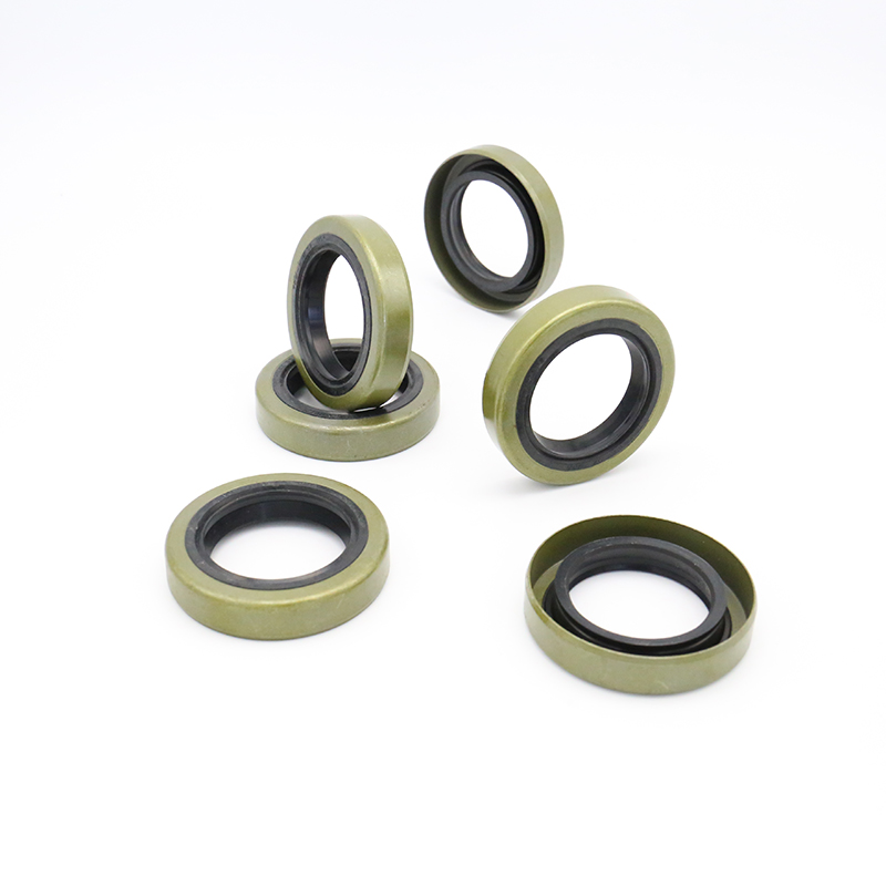 TB iron shell oil seal