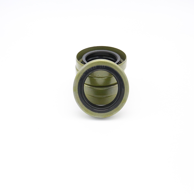 TB iron shell oil seal