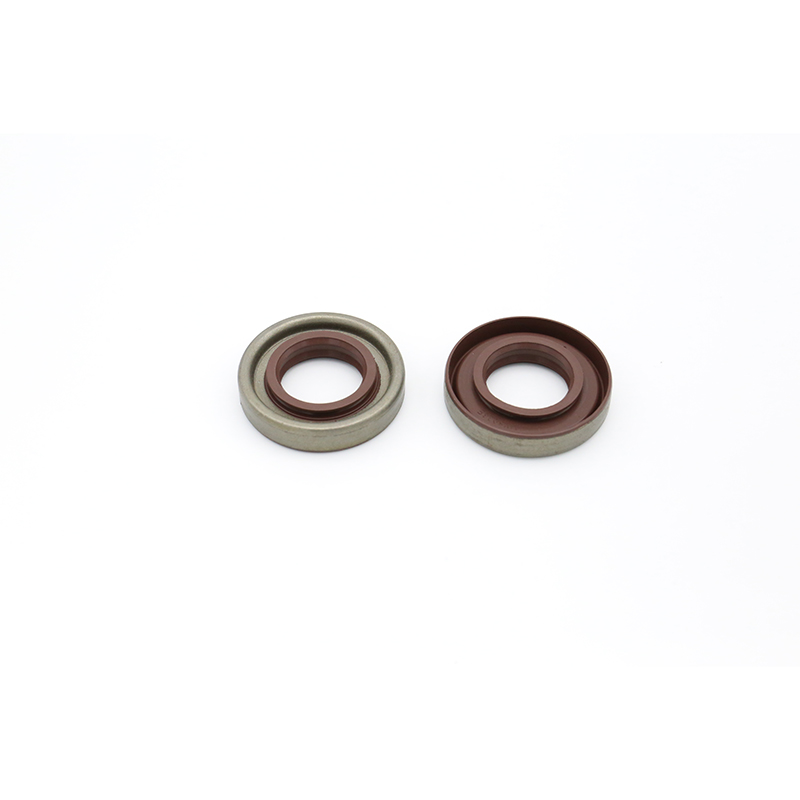 TB iron shell oil seal