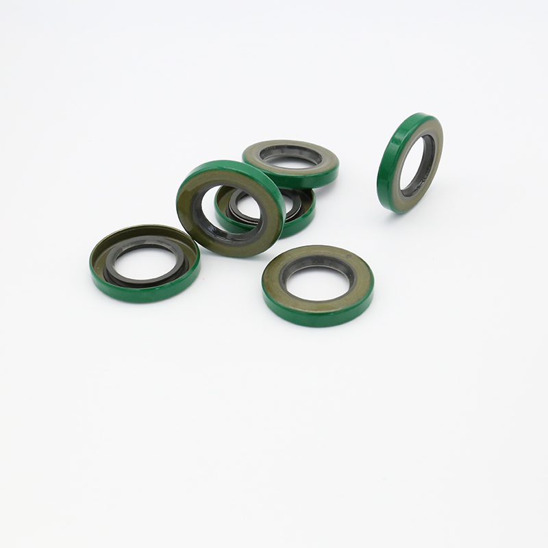 TB iron shell oil seal