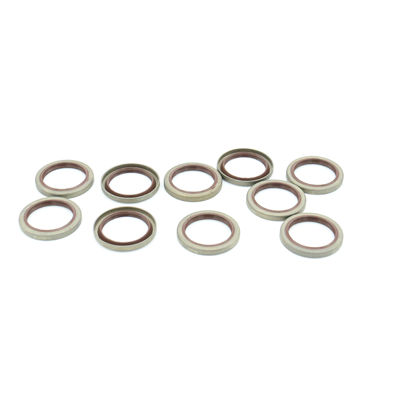 TB iron shell oil seal