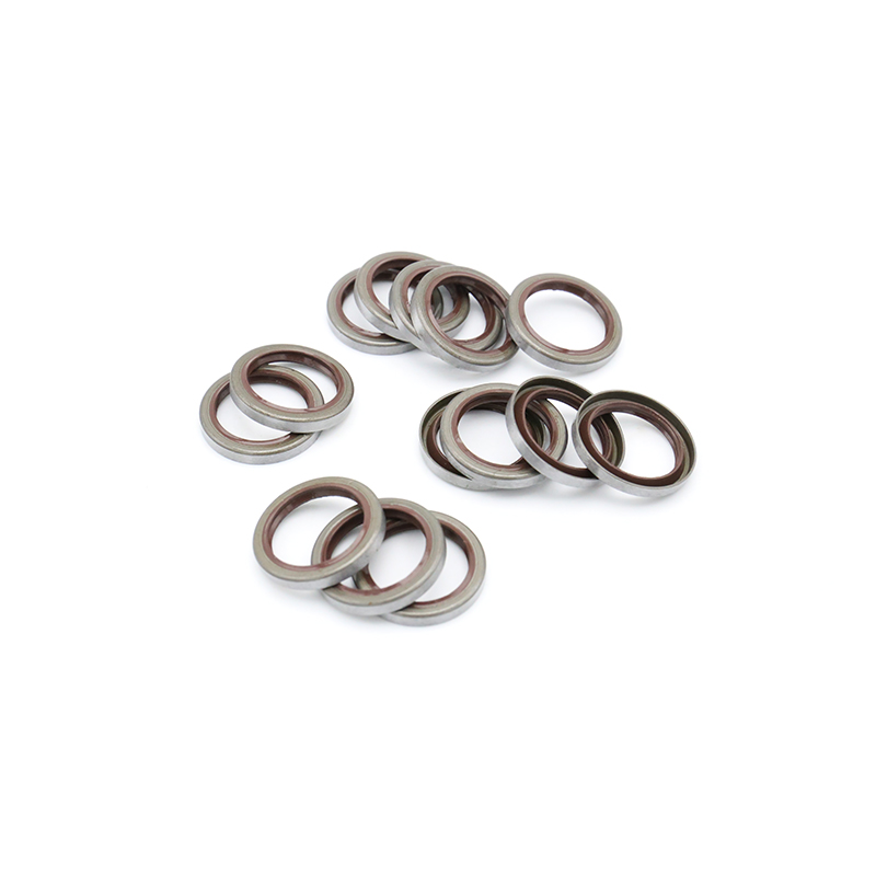 TB iron shell oil seal