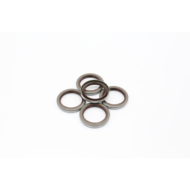 TB iron shell oil seal