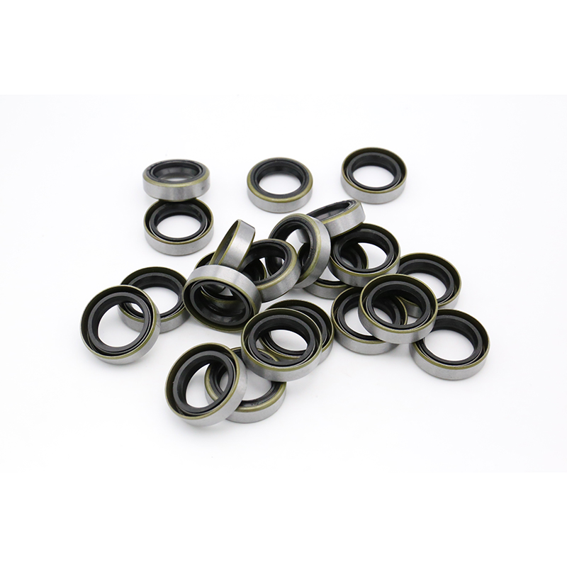 TB iron shell oil seal