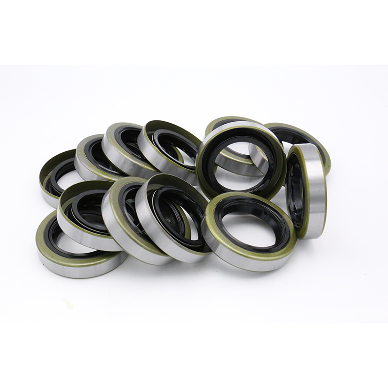 TB iron shell oil seal