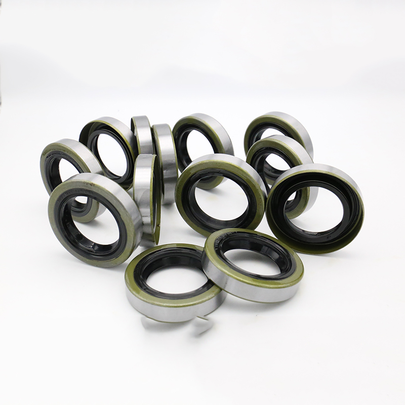 TB iron shell oil seal