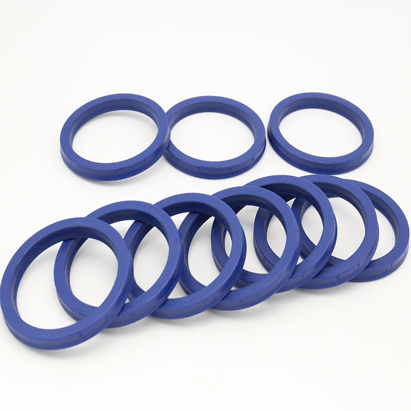 Cylinder oil seal