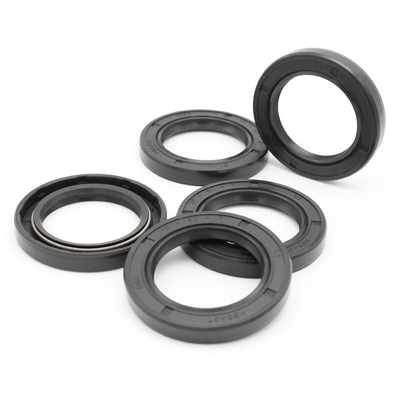 Skeleton oil  seal